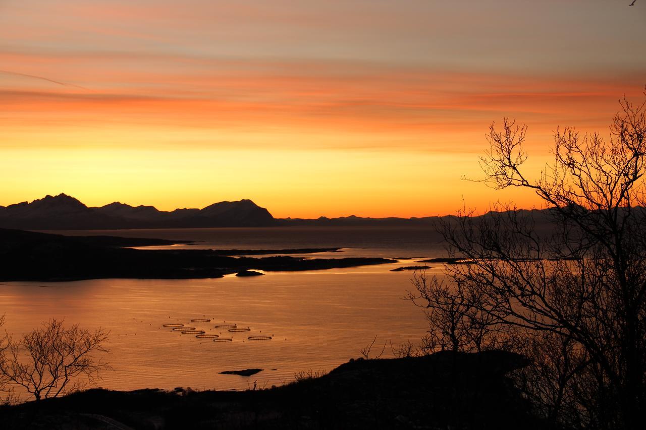 Senja Fjordhotell And Apartments Stonglandseidet Экстерьер фото