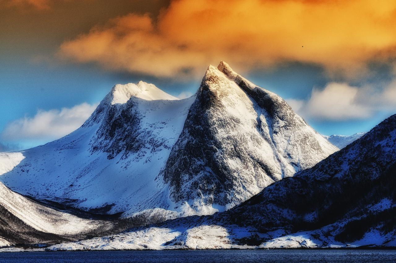 Senja Fjordhotell And Apartments Stonglandseidet Экстерьер фото